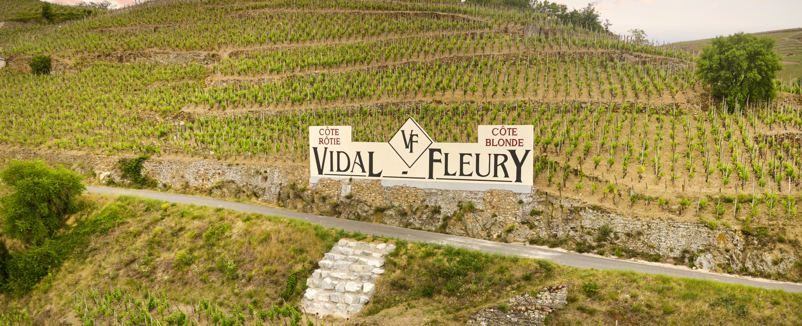 VIDAL FLEURY UK | González Byass